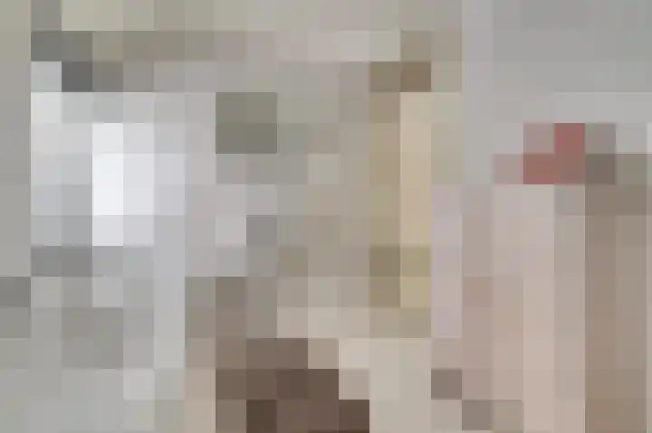 de Steeg 24 Angeren thumbnail 35