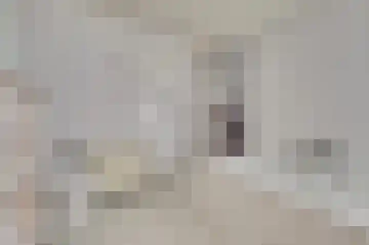 de Steeg 24 Angeren thumbnail 36