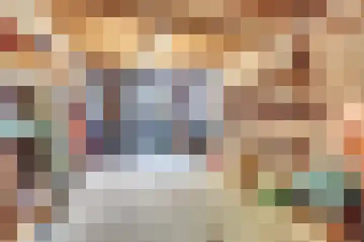 de Steeg 24 Angeren thumbnail 44