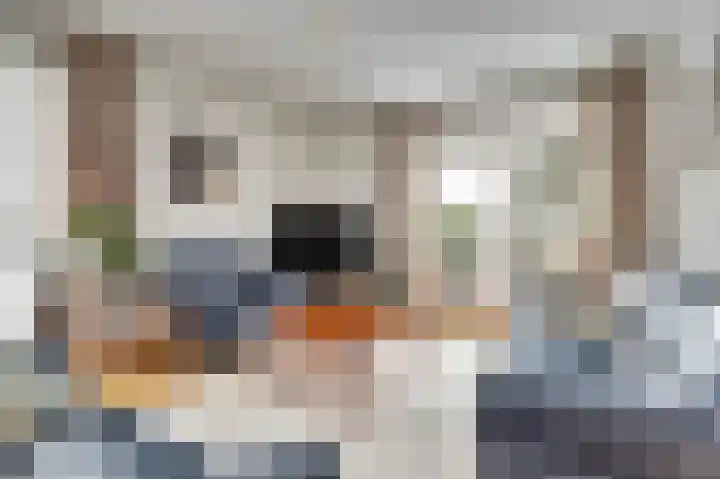 de Steeg 24 Angeren thumbnail 8