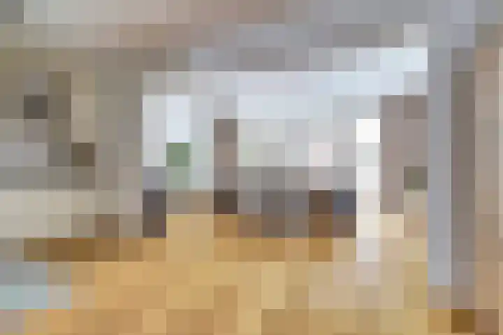 de Steeg 24 Angeren thumbnail 9