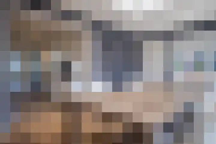 de Steege 39 Zieuwent thumbnail 12