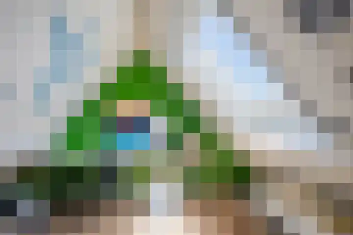 de Steege 39 Zieuwent thumbnail 27