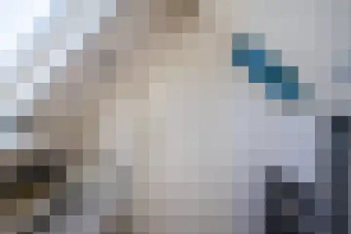 de Steege 39 Zieuwent thumbnail 28