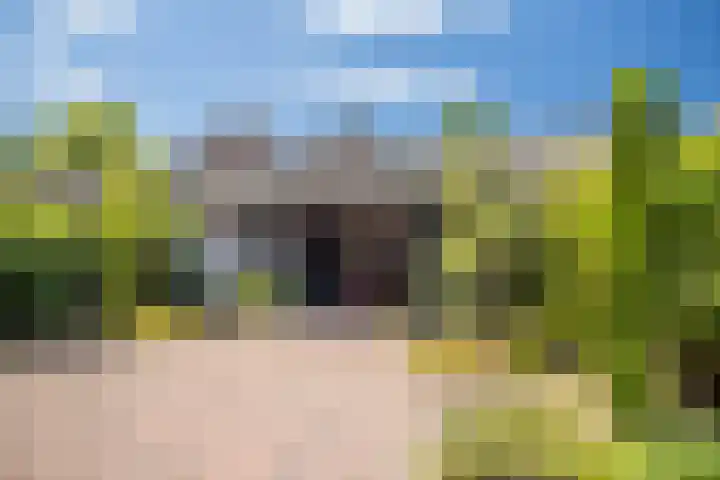 de Steege 39 Zieuwent thumbnail 32