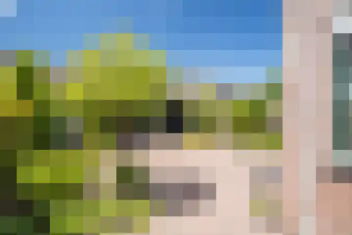 de Steege 39 Zieuwent thumbnail 34