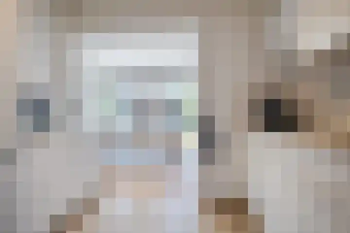 de Steege 39 Zieuwent thumbnail 8