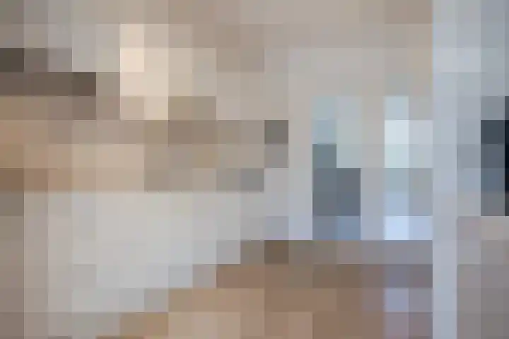 de Steege 39 Zieuwent thumbnail 9