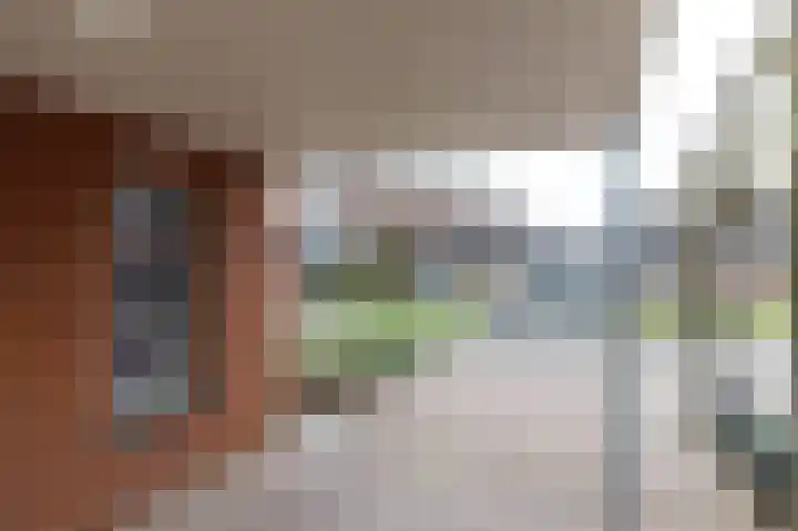 de Steege 59 Zieuwent thumbnail 38