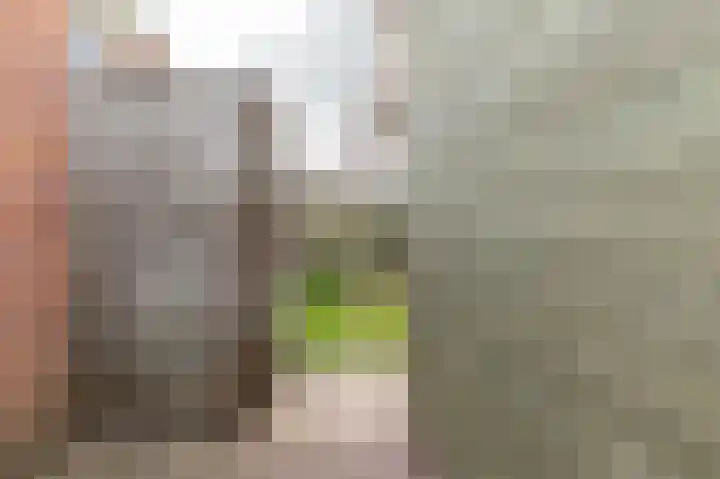 de Steege 59 Zieuwent thumbnail 43