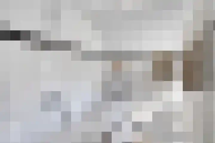 de Steekse Acker 1111 Nijmegen thumbnail 16