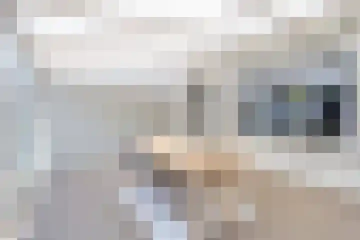 de Steekse Acker 1111 Nijmegen thumbnail 8