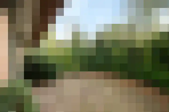 De Steenakkers 40 Belt-Schutsloot thumbnail 12