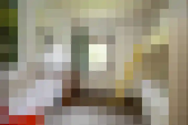 De Steenakkers 40 Belt-Schutsloot thumbnail 44