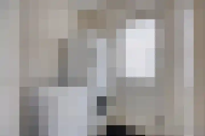 De Steenbok 3 Oosterblokker thumbnail 13