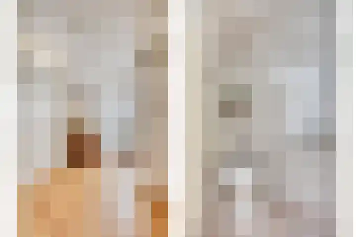 De Steenbok 3 Oosterblokker thumbnail 14