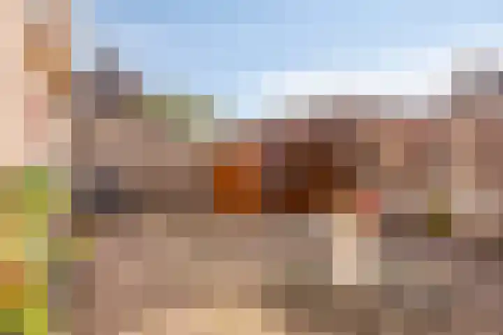 De Steenbok 3 Oosterblokker thumbnail 19
