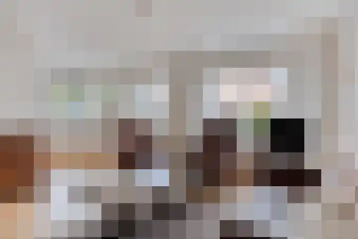 De Steenbok 3 Oosterblokker thumbnail 7