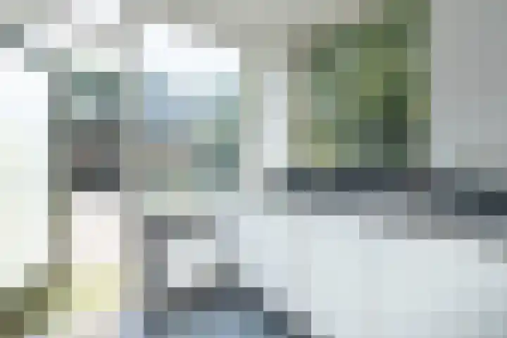 De Steenkamp 111 Voorthuizen thumbnail 11
