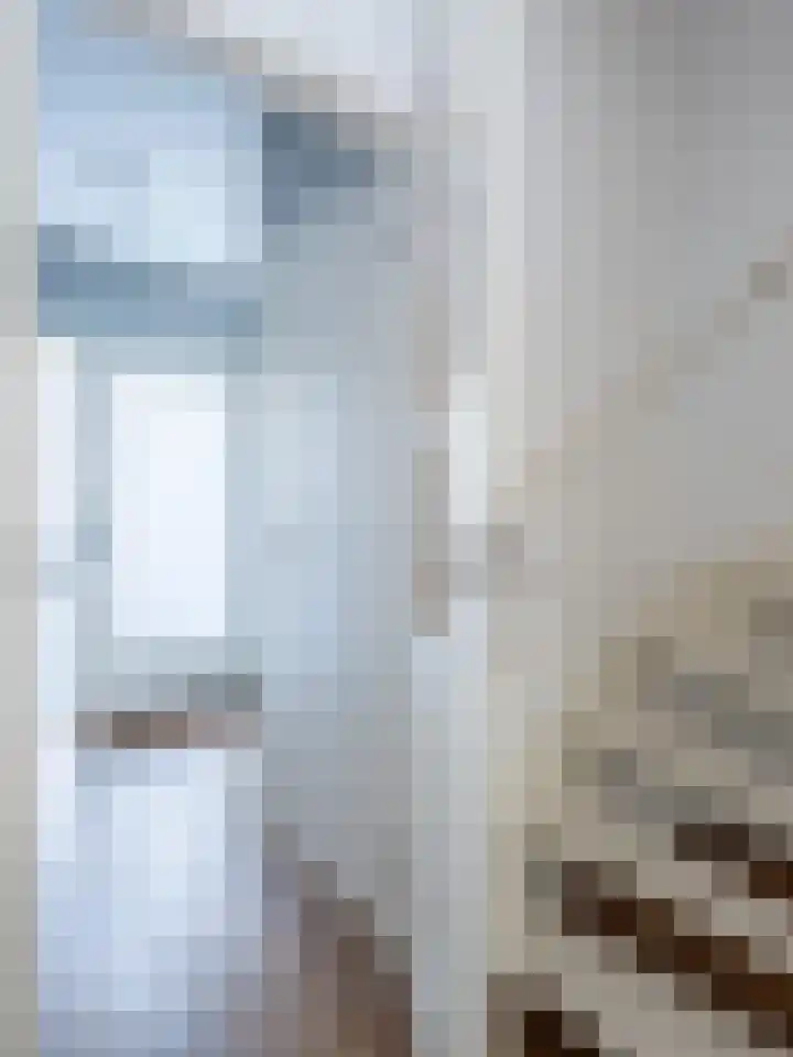 De Steenkamp 111 Voorthuizen thumbnail 14