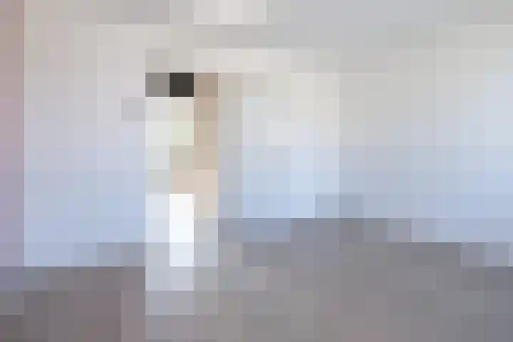 De Steenkamp 111 Voorthuizen thumbnail 17