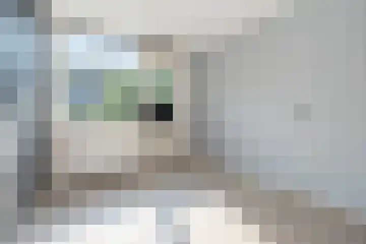 De Steenkamp 111 Voorthuizen thumbnail 18