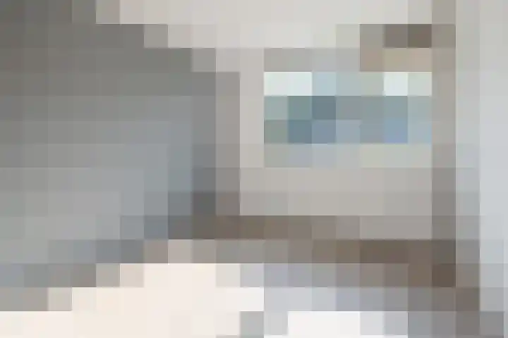 De Steenkamp 111 Voorthuizen thumbnail 20
