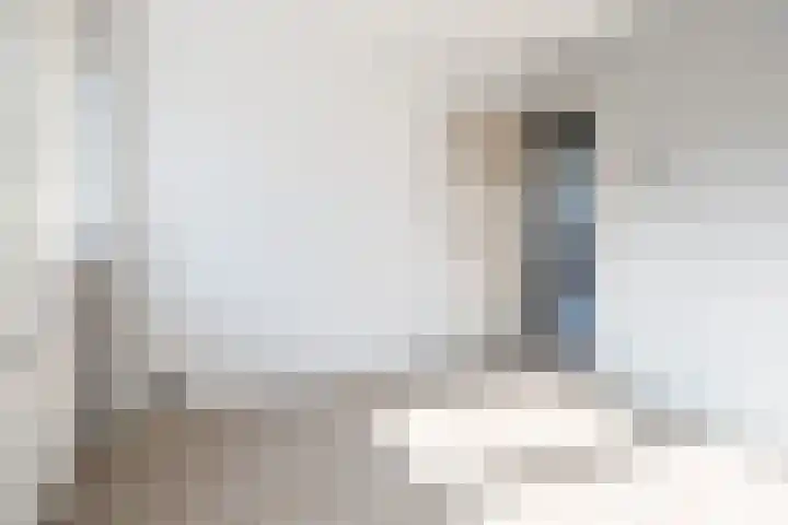 De Steenkamp 111 Voorthuizen thumbnail 21