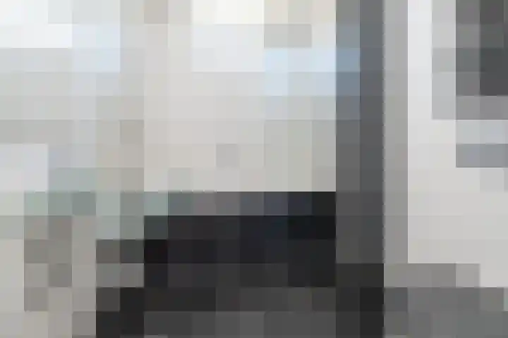 De Steenkamp 111 Voorthuizen thumbnail 22