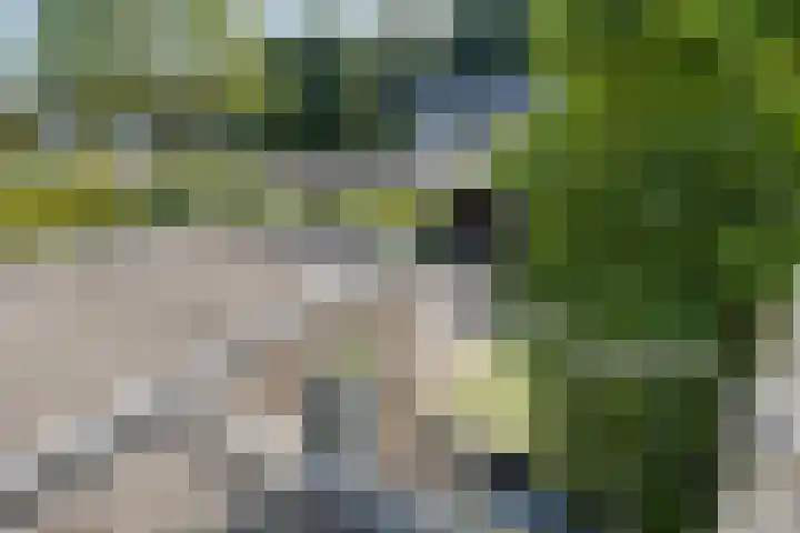De Steenkamp 111 Voorthuizen thumbnail 26