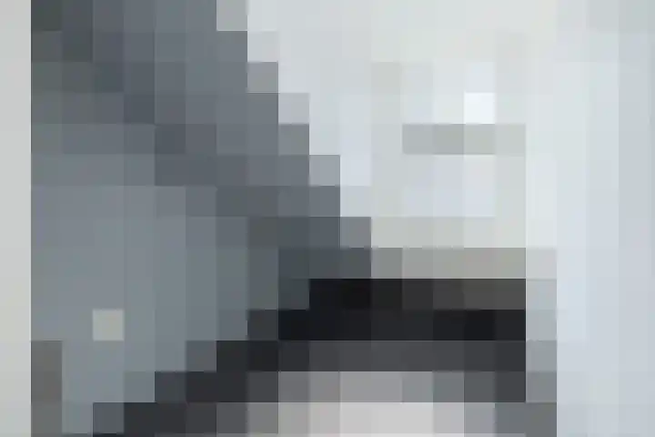 De Steenkamp 111 Voorthuizen thumbnail 29