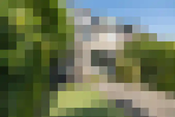 De Steenkamp 111 Voorthuizen thumbnail 31