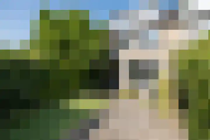De Steenkamp 111 Voorthuizen thumbnail 33