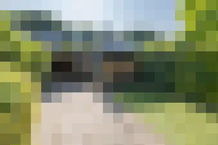 De Steenkamp 111 Voorthuizen thumbnail 34