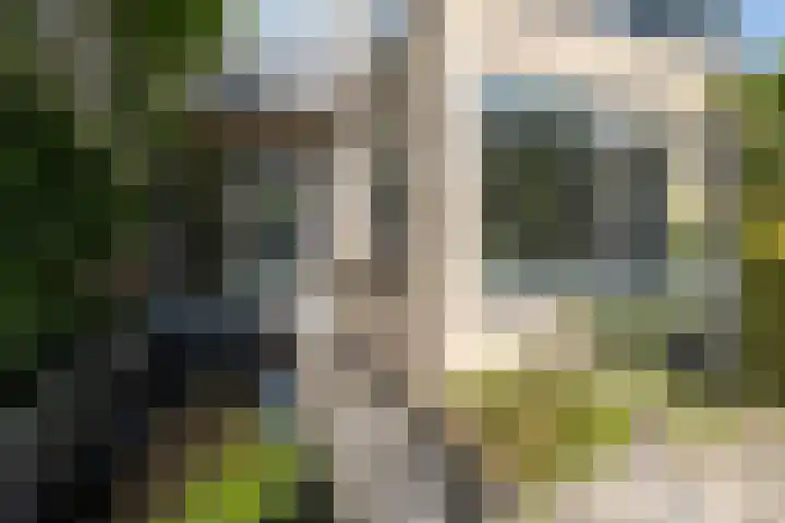 De Steenkamp 111 Voorthuizen thumbnail 39