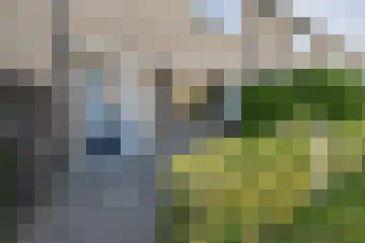 De Steenkamp 111 Voorthuizen thumbnail 41