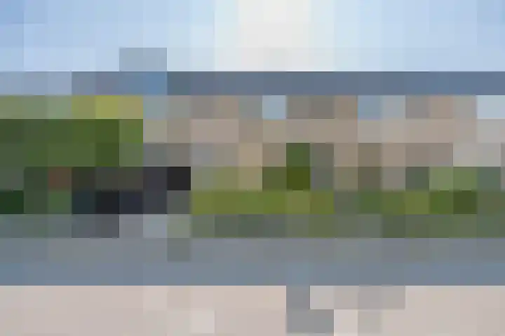 De Steenkamp 111 Voorthuizen thumbnail 45