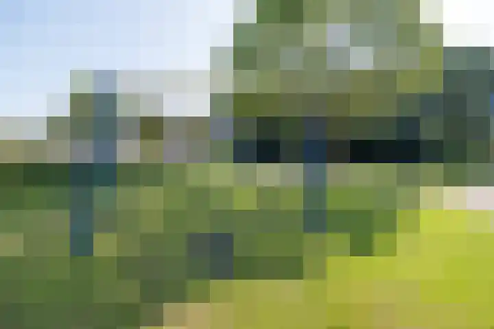 De Steenkamp 111 Voorthuizen thumbnail 46