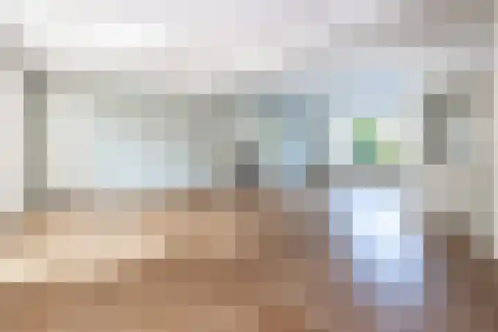 De Steenkamp 111 Voorthuizen thumbnail 6