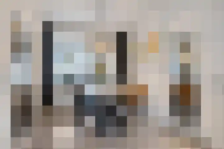 De Steenkamp 116 Voorthuizen thumbnail 10