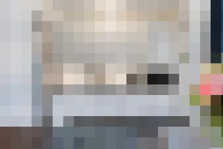 De Steenkamp 116 Voorthuizen thumbnail 11