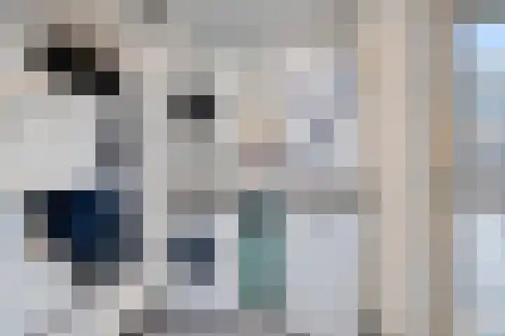 De Steenkamp 116 Voorthuizen thumbnail 14