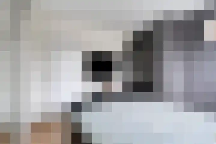 De Steenkamp 116 Voorthuizen thumbnail 17