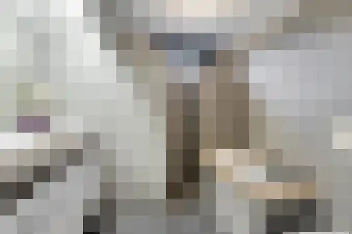 De Steenkamp 116 Voorthuizen thumbnail 22