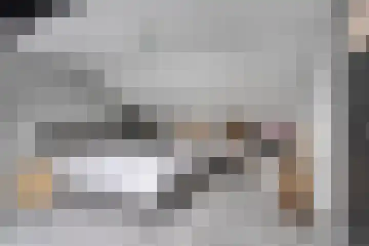 De Steenkamp 116 Voorthuizen thumbnail 25