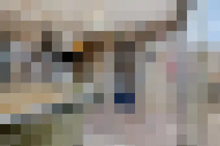 De Steenkamp 116 Voorthuizen thumbnail 28