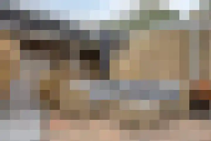 De Steenkamp 116 Voorthuizen thumbnail 32