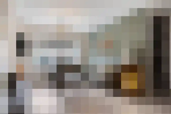 De Steenkamp 116 Voorthuizen thumbnail 5