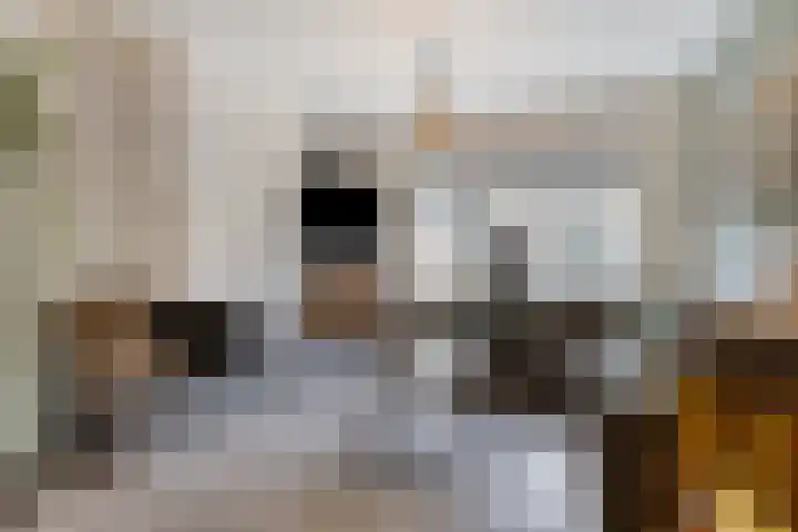 De Steenkamp 116 Voorthuizen thumbnail 6