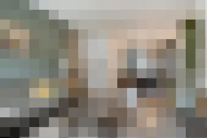 De Steenkamp 116 Voorthuizen thumbnail 8